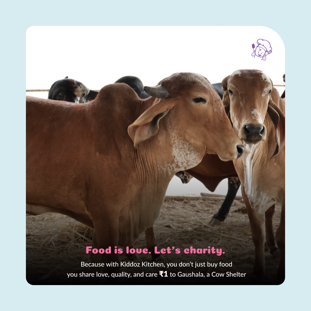 Nutty Jowar & Oats n’ Bajra Cookies Combo (Pack of 2)– 200g (2x100g)