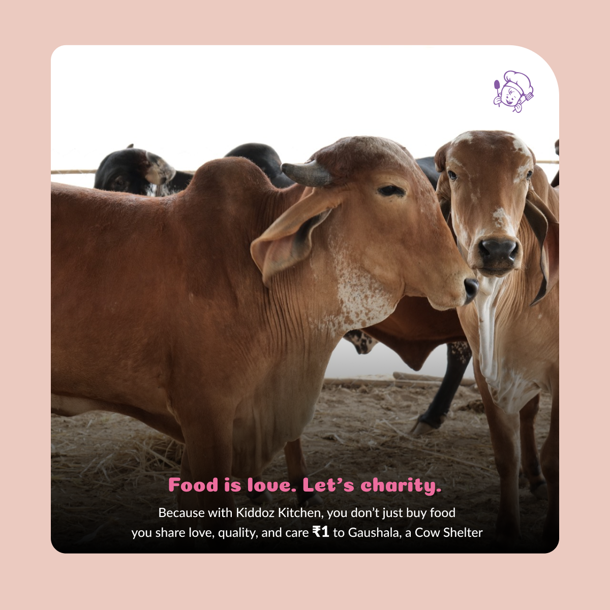 Instant Millet Noodles & Millet Dosa Mix Combo-320g (120 g + 200 g)