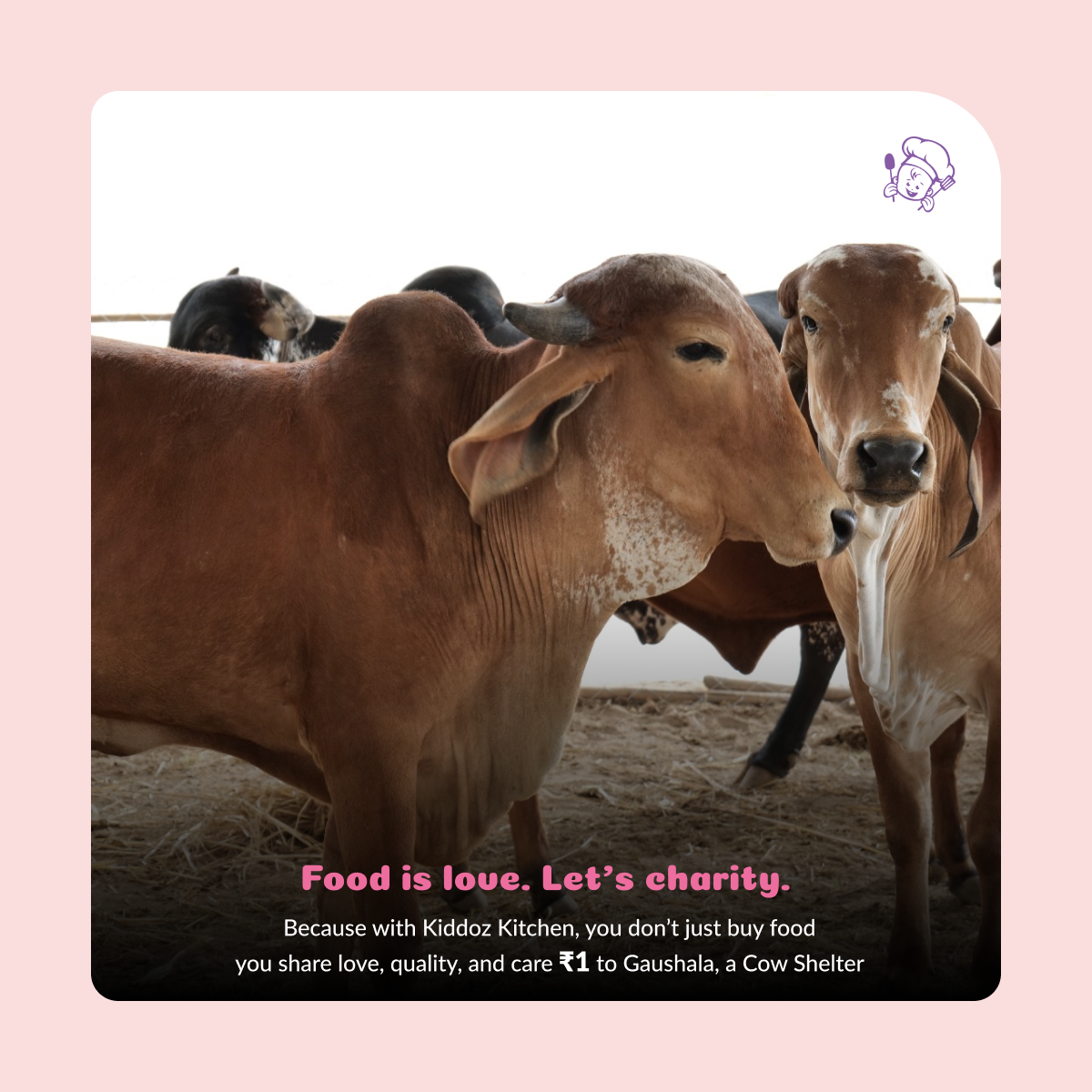 Ragi Bliss, Nutty Jowar, Oats n’ Bajra & Millet Choco – 400g (4x100g)