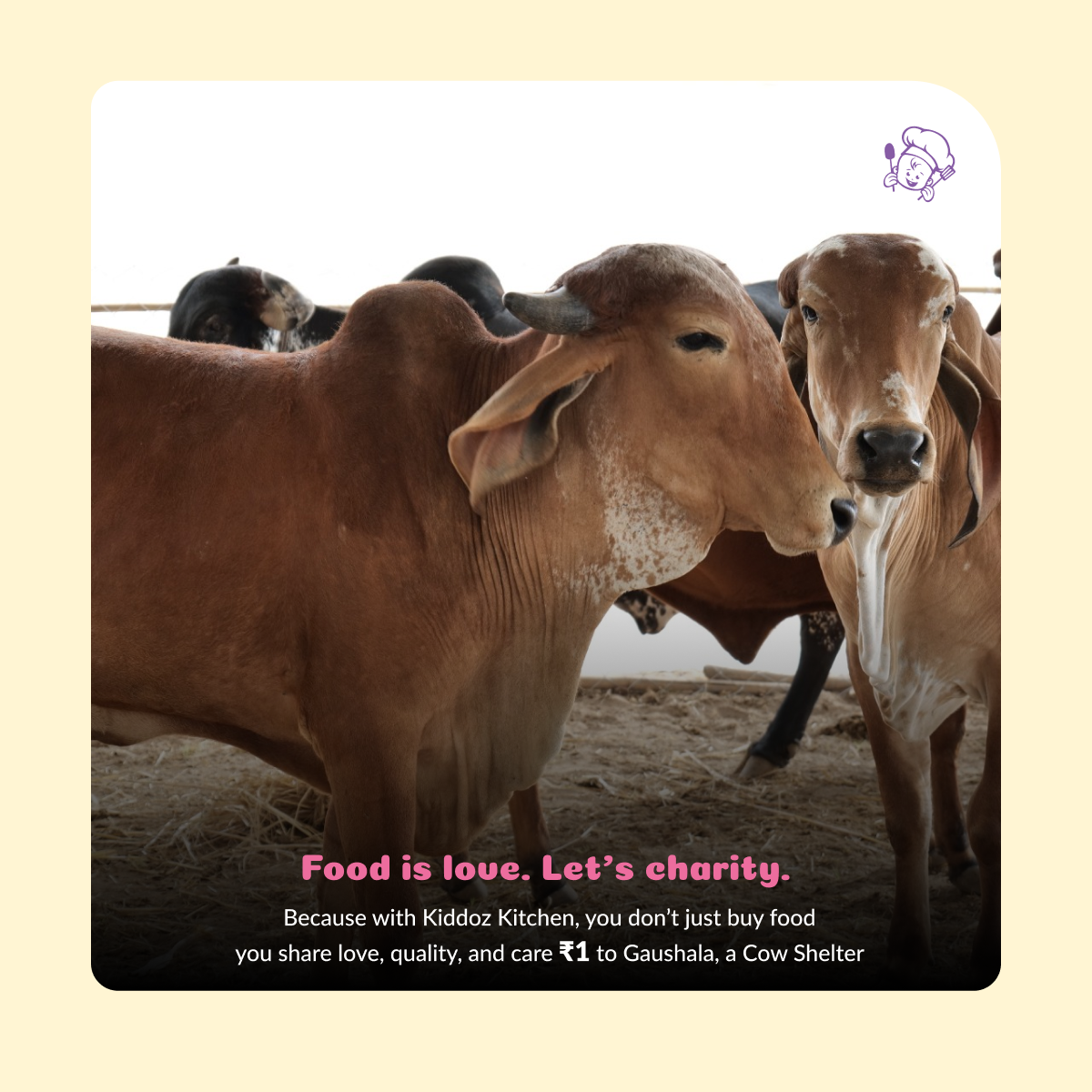 Instant Millet Noodles & Millet Pancake Mix  – 420g (120g + 300g)