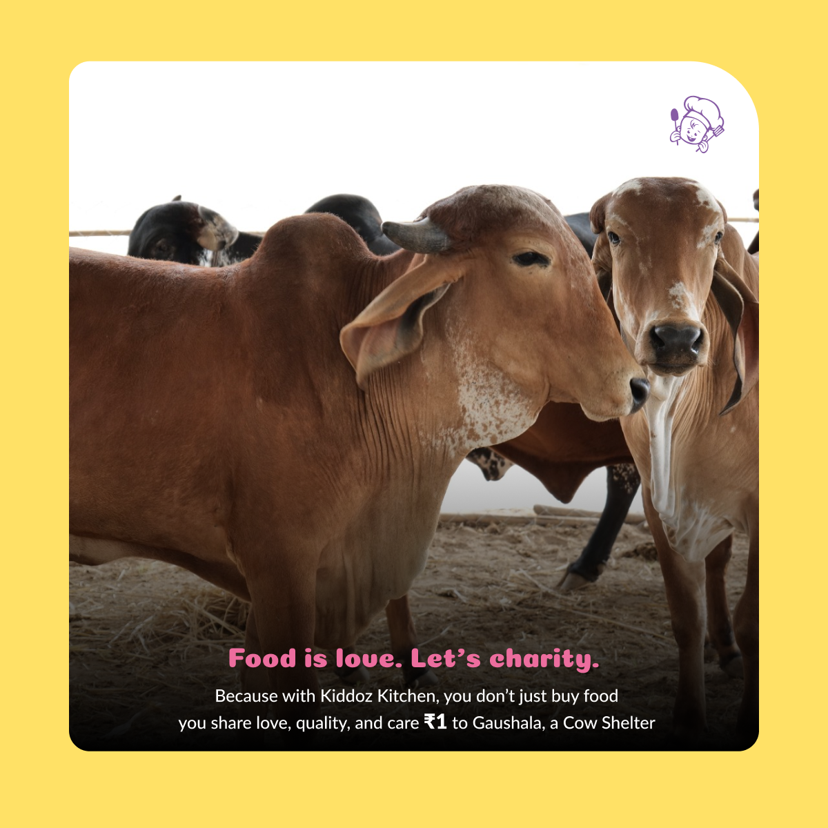 Instant Millet Noodles & Ragi Bliss Cookies - 220g (120g + 100g)