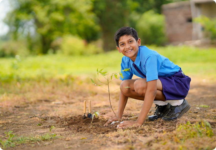 Why Planting Trees?